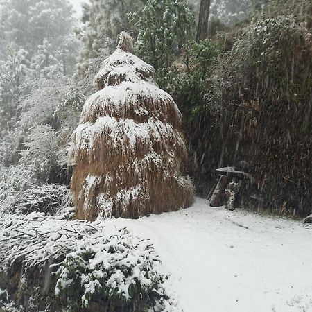 Aagaman Woods Daire Shimla Dış mekan fotoğraf