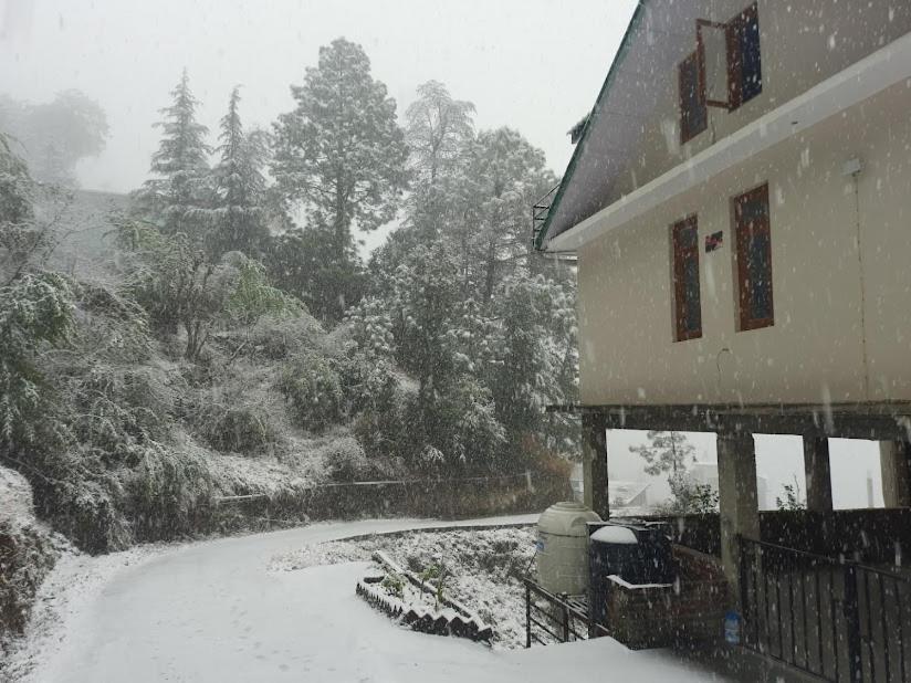 Aagaman Woods Daire Shimla Dış mekan fotoğraf