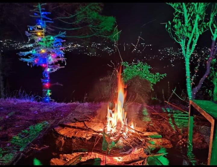 Aagaman Woods Daire Shimla Dış mekan fotoğraf
