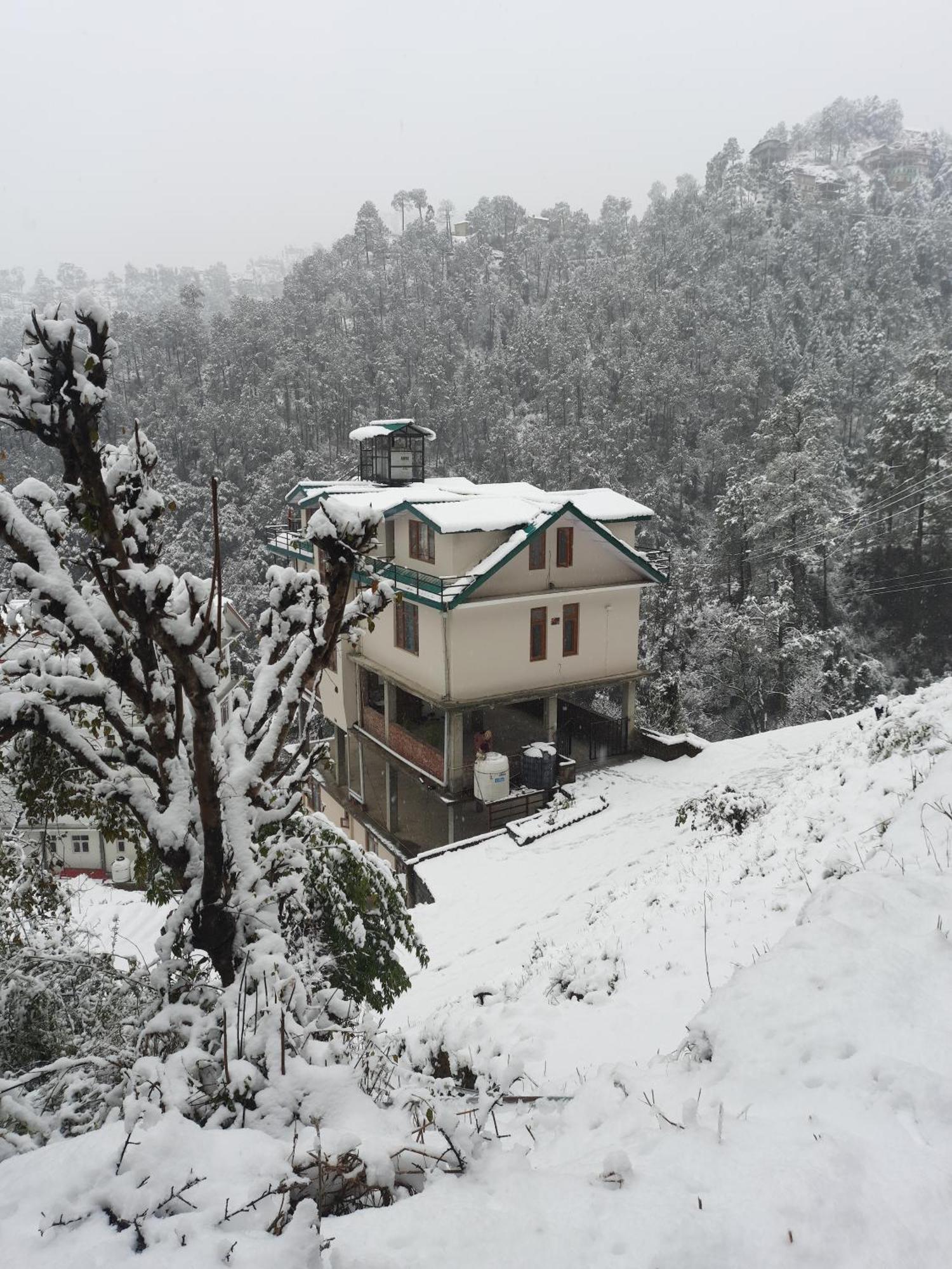 Aagaman Woods Daire Shimla Dış mekan fotoğraf