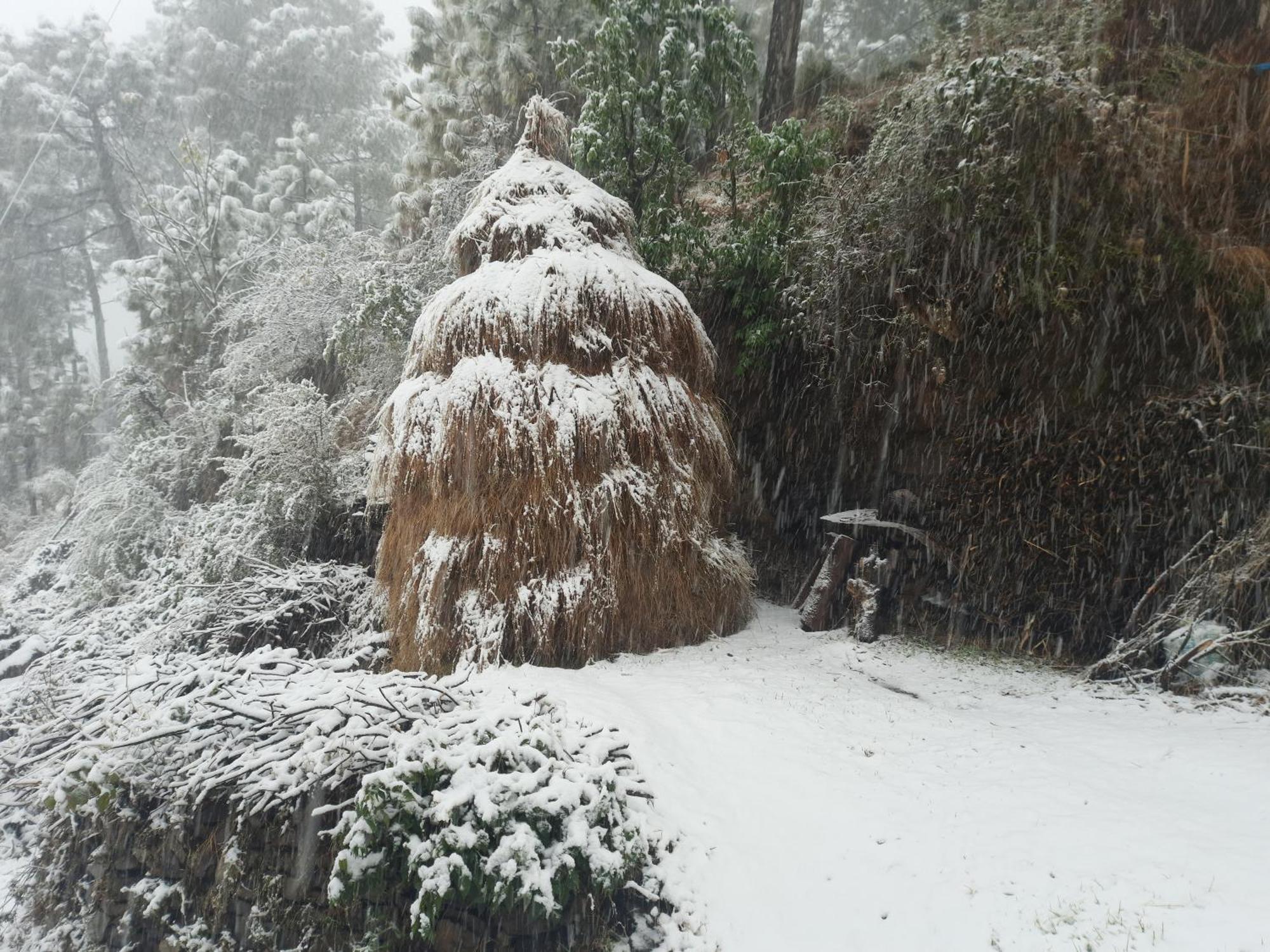Aagaman Woods Daire Shimla Dış mekan fotoğraf